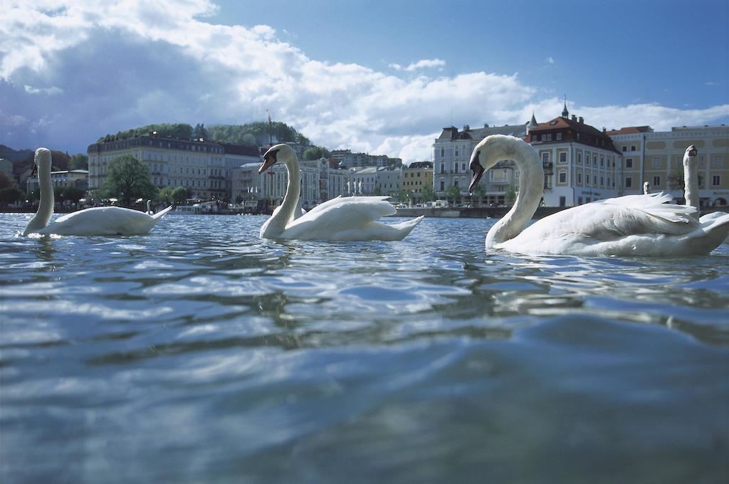 Landhotel Gruenberg Am See Gmunden Extérieur photo